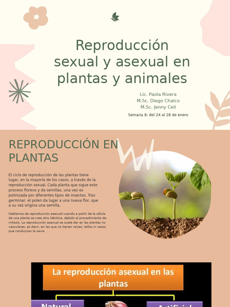 Reproducción en Plantas y Animales | PDF