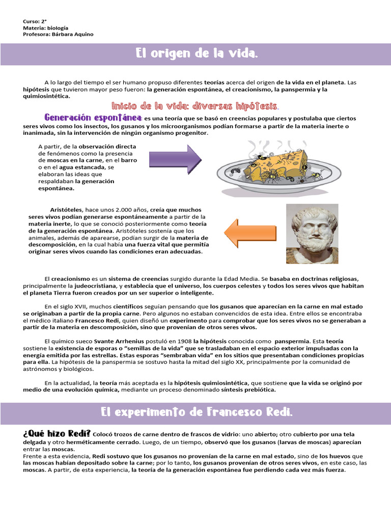 Teorías sobre el origen de la vida | PDF | Biología | Naturaleza