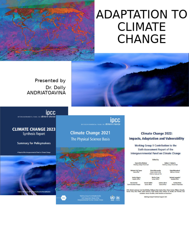 Climate Change Adaptation Strategies | PDF