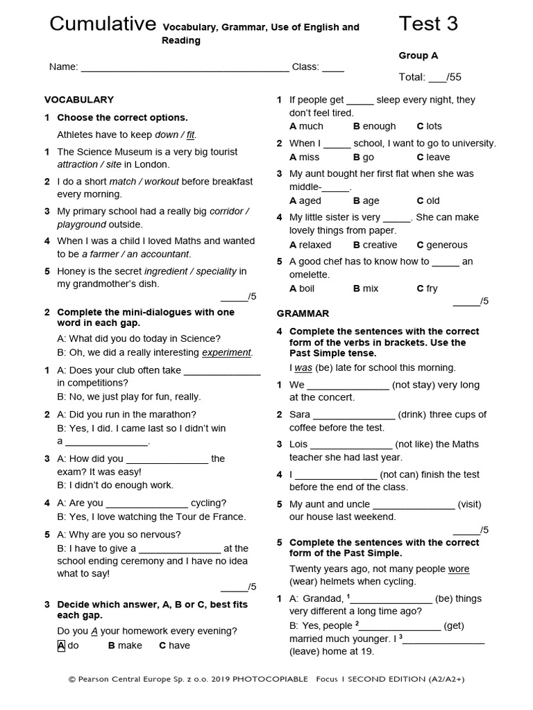 Vocabulary and Grammar Test A2/A2+ | PDF