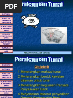 4.1 Perakaunan Tunai CT