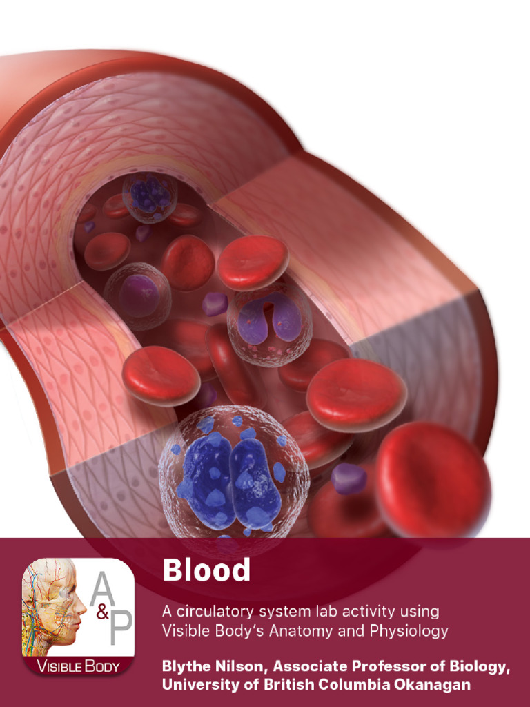 Blood Anatomy and Functions Guide | PDF | Red Blood Cell | Blood Cell