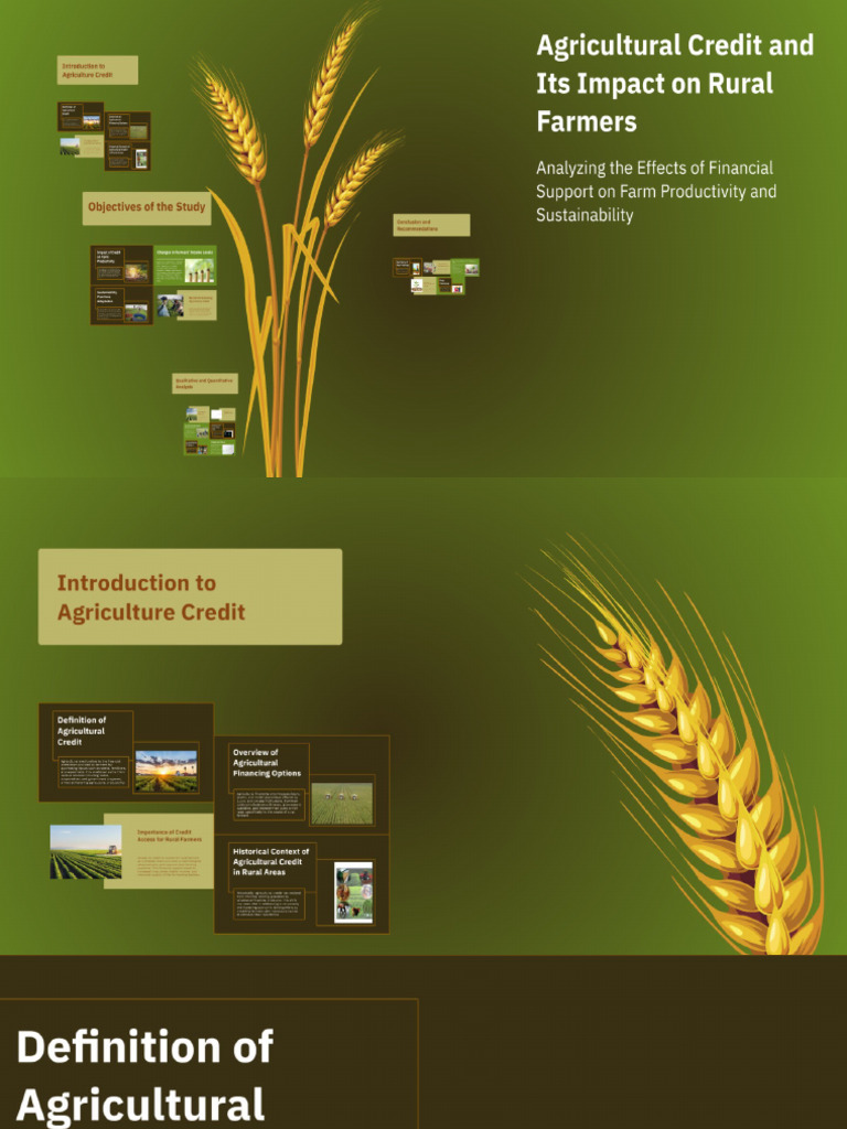 Agriculture Credit and Its Impact On Rural Farmers | PDF
