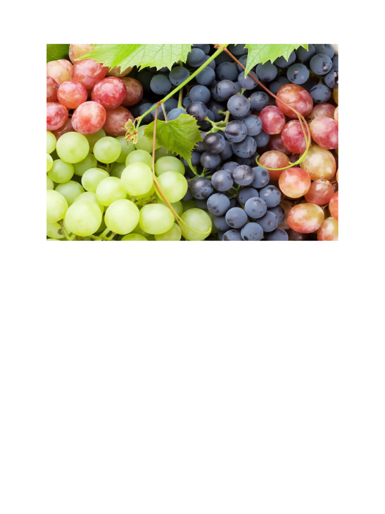 Grapes | PDF