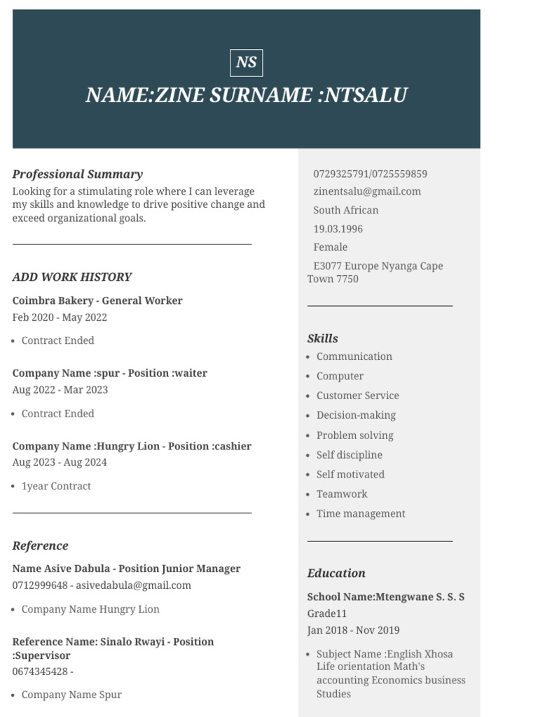 Professional Summary and Work History | PDF