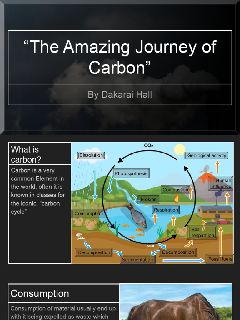 The Amazing Journey of Carbon | PDF | Combustion | Decomposition