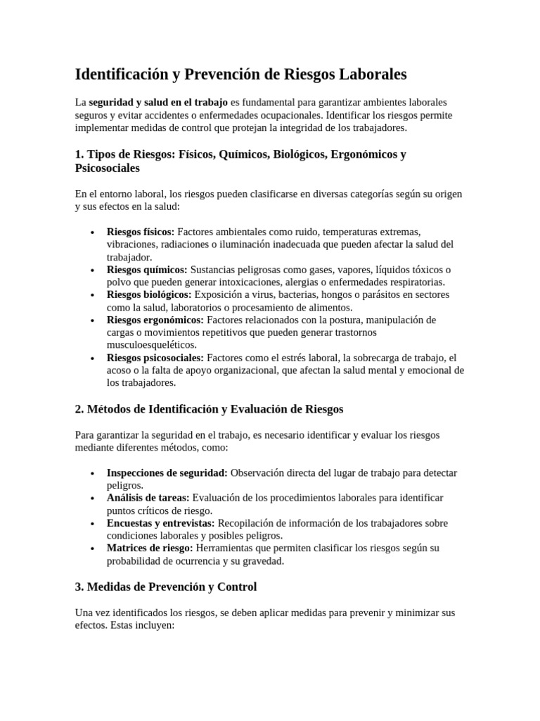 Identificación y Prevención de Riesgos Laborales | PDF | Seguridad y ...
