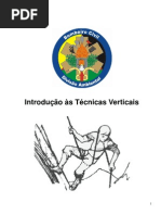 Introdução às Técnicas Verticais - apostila