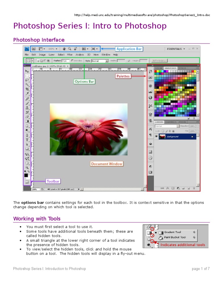 Photoshop Series 1 Intro | PDF | Computers