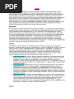 Estructura del Cráneo: Endobase y Exobase | PDF | Otorrinolaringología ...