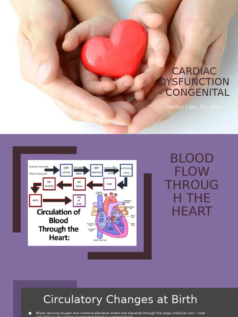 Congenital Heart Defects Overview | PDF | Congenital Heart Defect | Heart