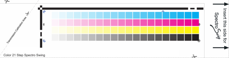 Color 21 Step Spectro Swing | PDF