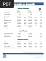 Download DFW Metropolitan Area Demographics by Scott Schaefer SN8728742 doc pdf