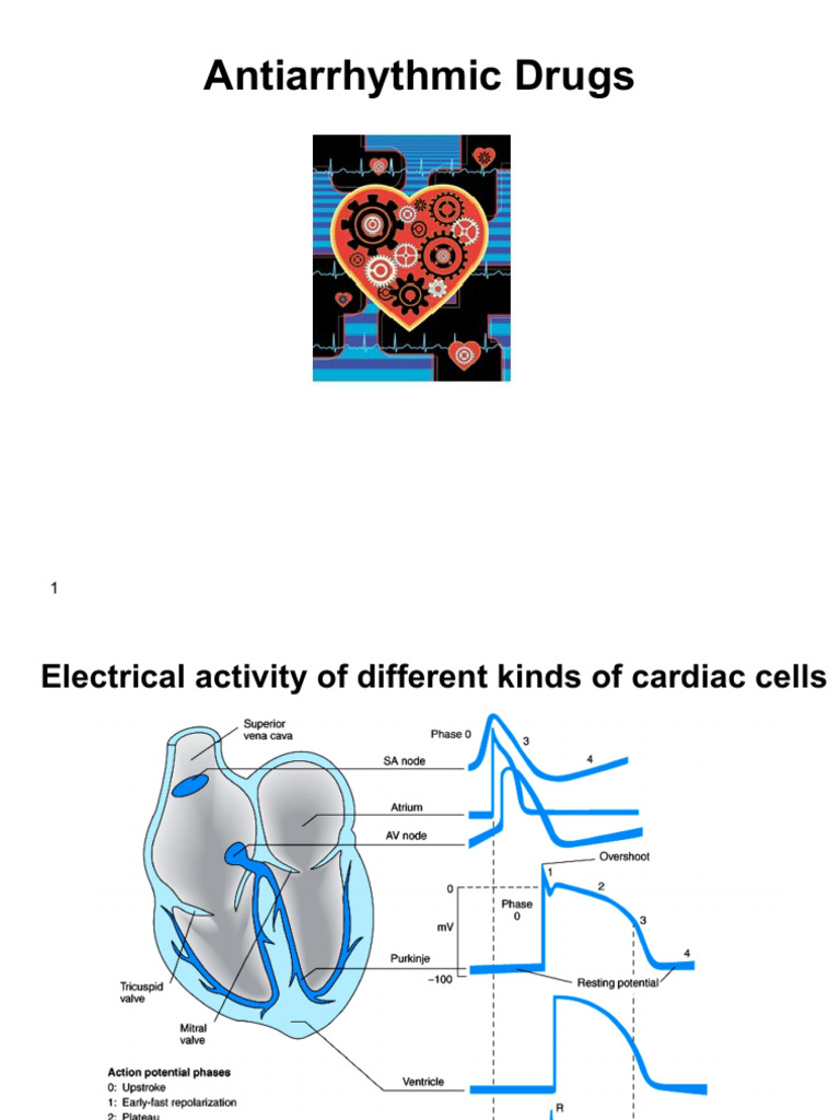 Antiarrhythmic Drugs, PDF | PDF | Action Potential | Heart