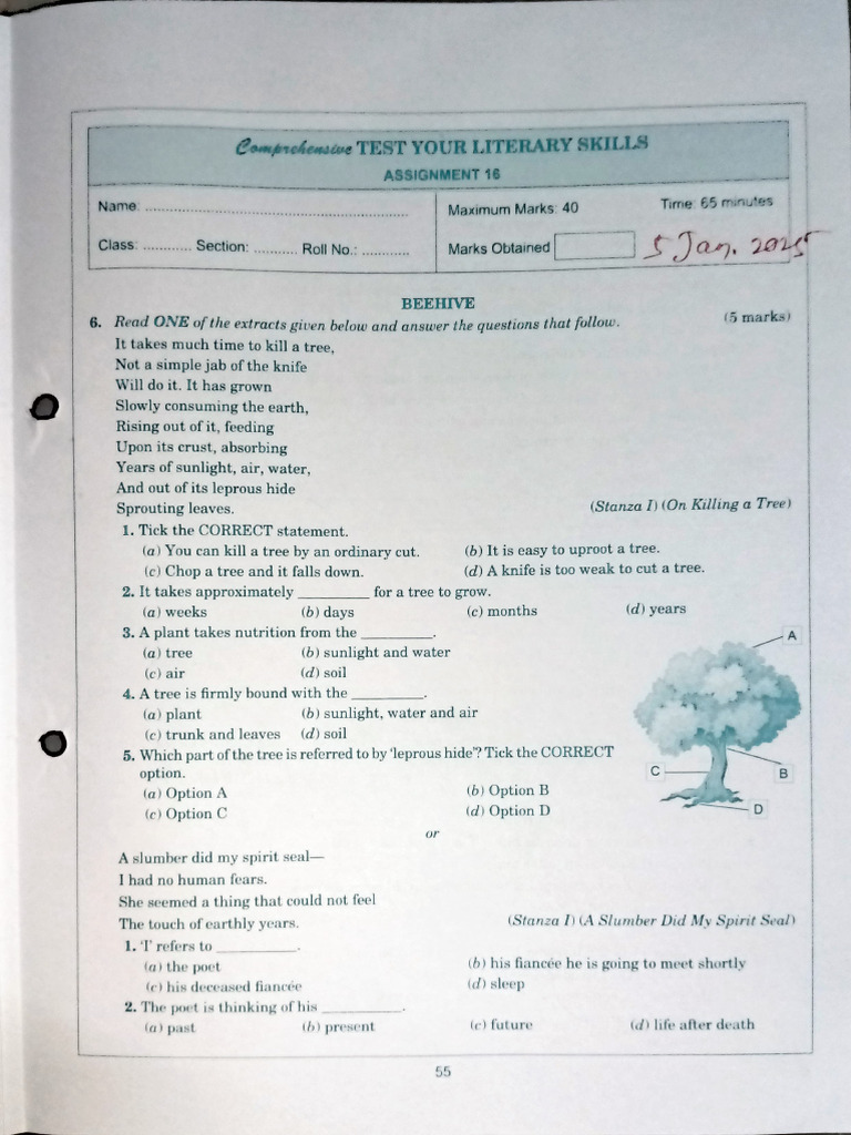 Literary Skills Test for Class IX | PDF | Trees