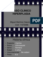 HIPERPLASIA VAGINAL EN PERRO