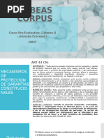 Análisis del Art. 43 de la CN Argentina | PDF | Habeas corpus | Ley común
