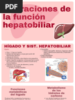 Funciones del Hígado y Riñones en Salud | PDF | Riñón | Metabolismo