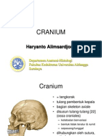 Cranium 1