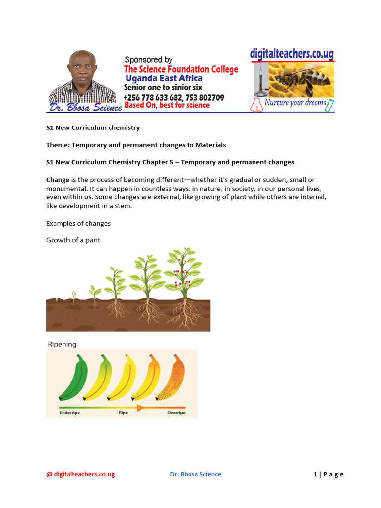 S1 New Curriculum Chemistry Chapter 5 - Temporary and Permanent Changes ...