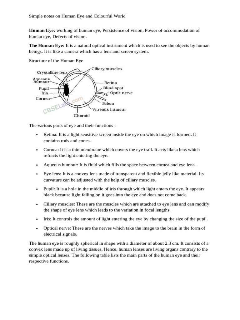 Human Eye: Structure, Function, and Vision | PDF | Eye | Human Eye