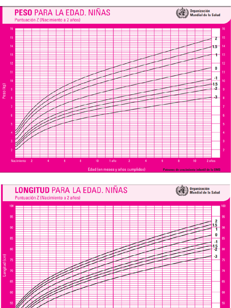 PATRONES OMS visual data 6