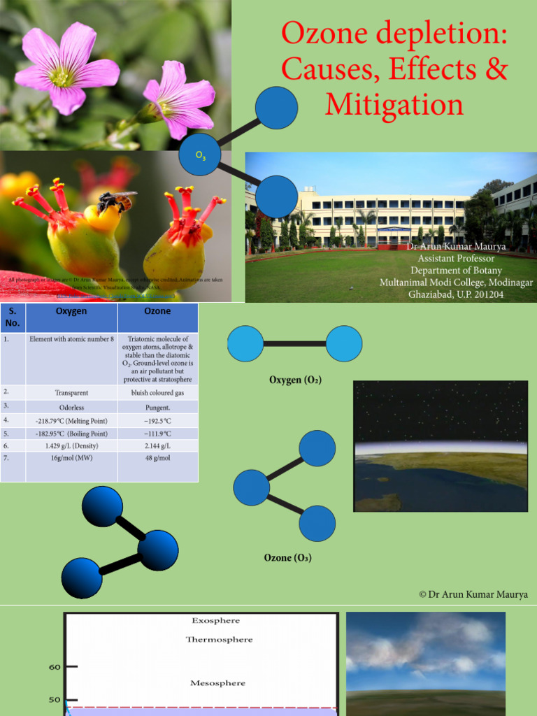 Ozone Depletion ARSD | PDF