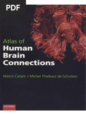 Atlas of Human Brain Connections 洋書　匿名配送 Dokumen - Pub Atlas of Human Brain Connections 1nbsped