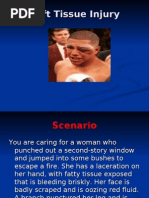 Download Paramedic  Soft Tissue Injury by Paulhotvw67 SN8730488 doc pdf