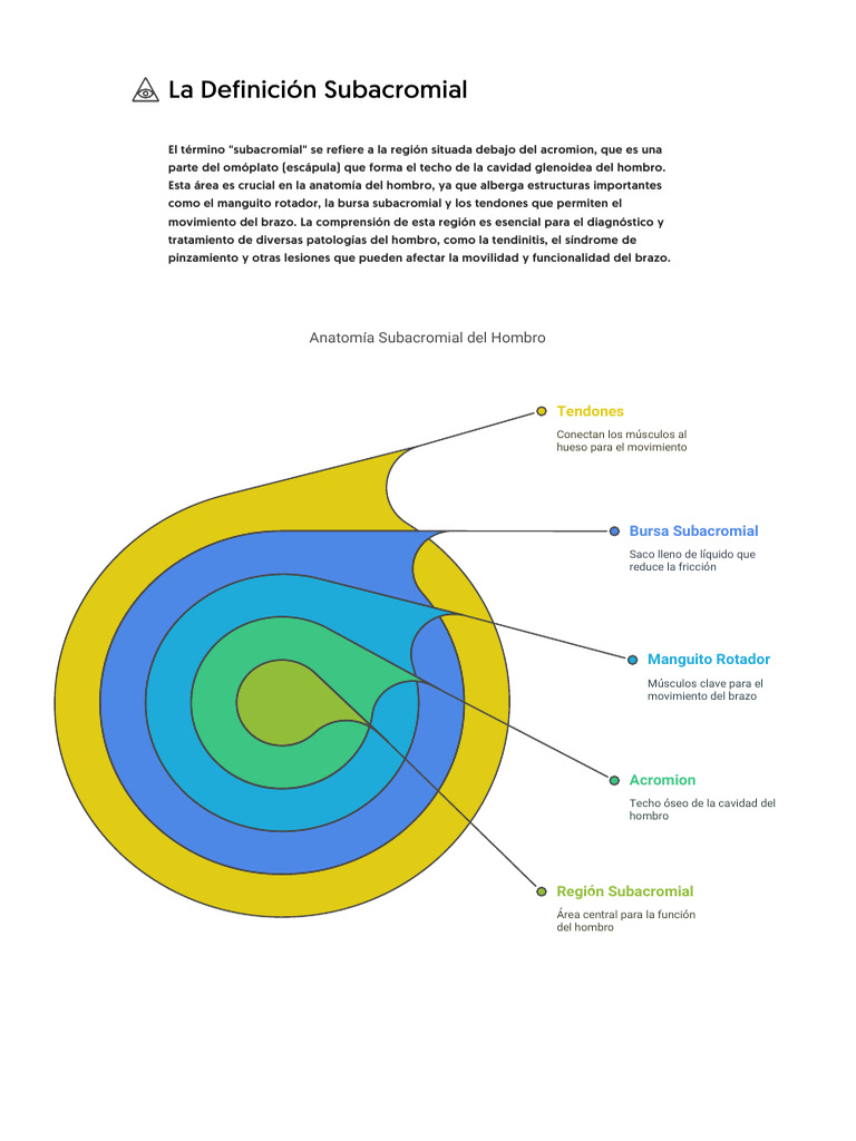 Anatomía y Patologías Subacromiales | PDF | Hombro | Medicina CLINICA