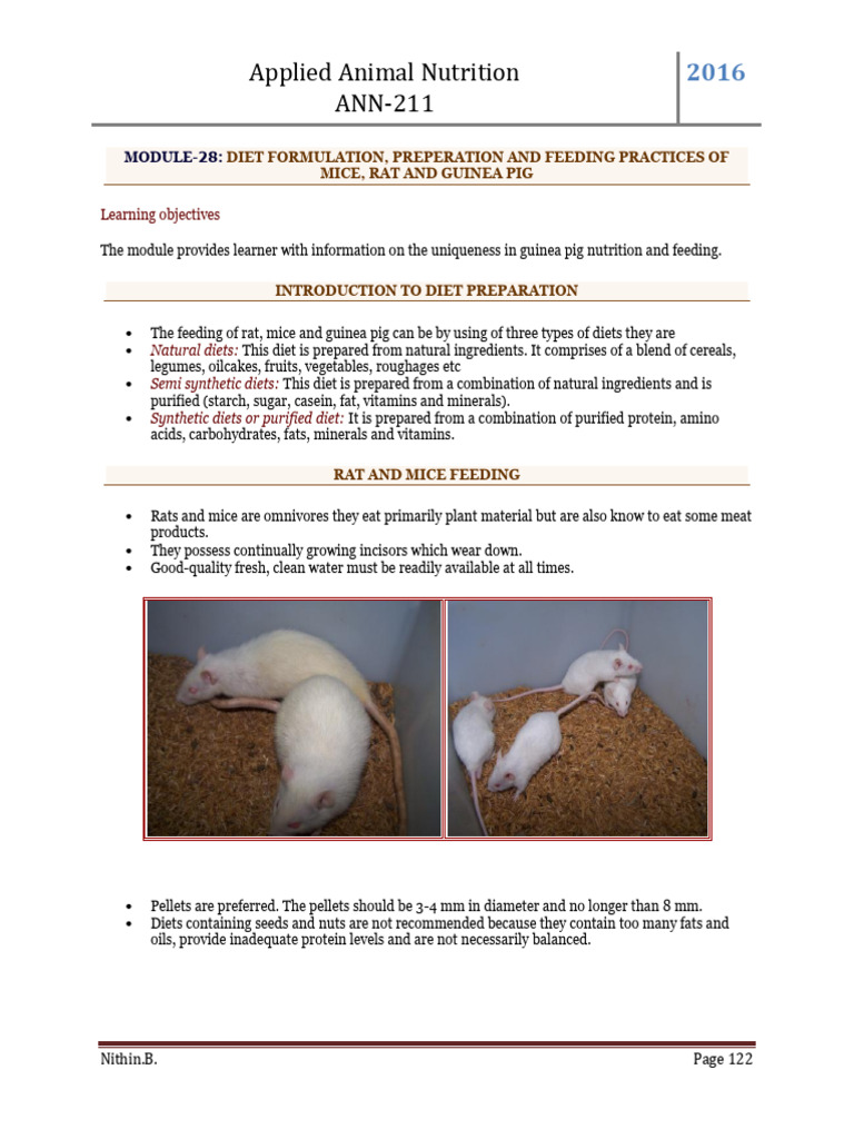 Diet Formulation, Preparation and Feeding of Laboratory Animals | PDF ...