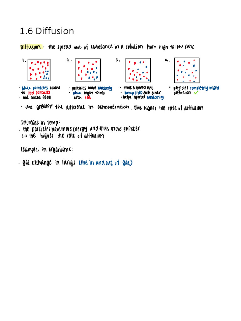 1.6 Diffusion | PDF