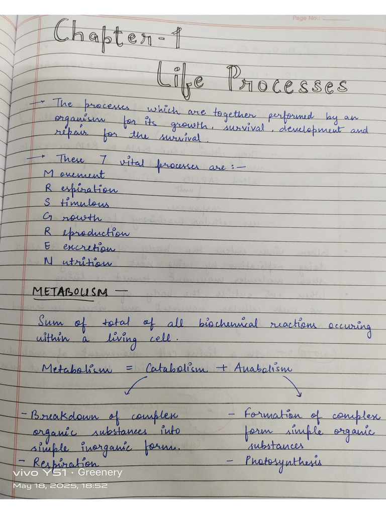 CH - Life Processes | PDF