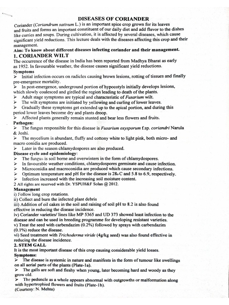 Document 16 | PDF