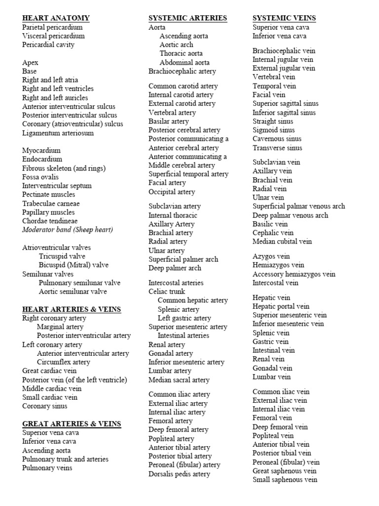 Heart Anatomy and Circulatory System Overview | PDF | Vein | Heart Valve