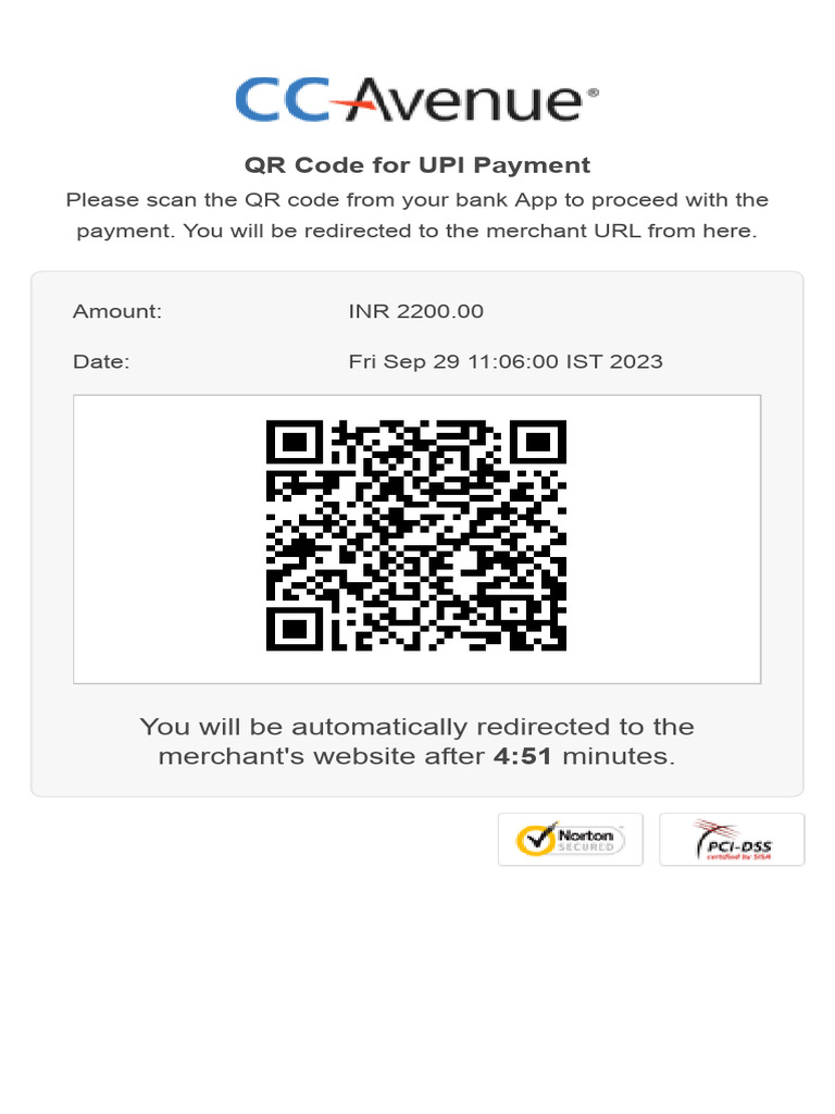 UPI Payment QR Code Instructions | PDF