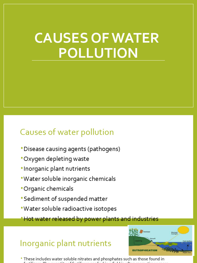 Key Causes of Water Pollution Explained | PDF | Water Pollution | Water