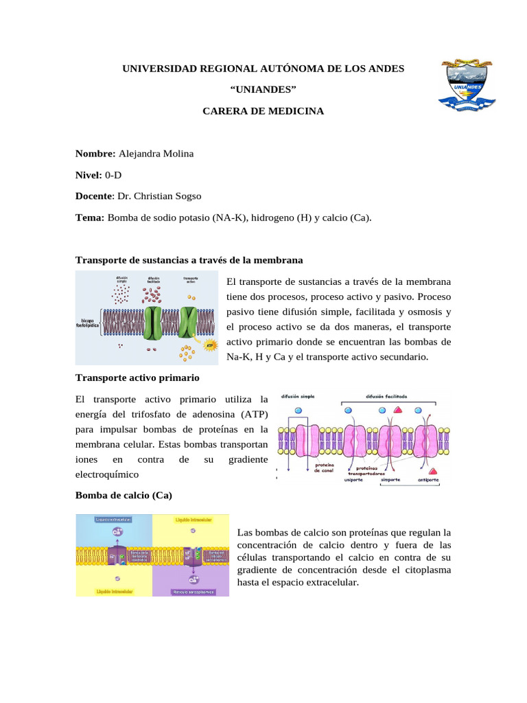 Bombas de Calcio, Sodio Potasio e Hidrogeno | PDF | Biología Celular |  Bioquímica, image size:768x1024