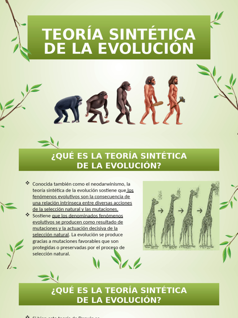 Teoría Sintética de la Evolución | PDF | Evolución | Seleccion natural