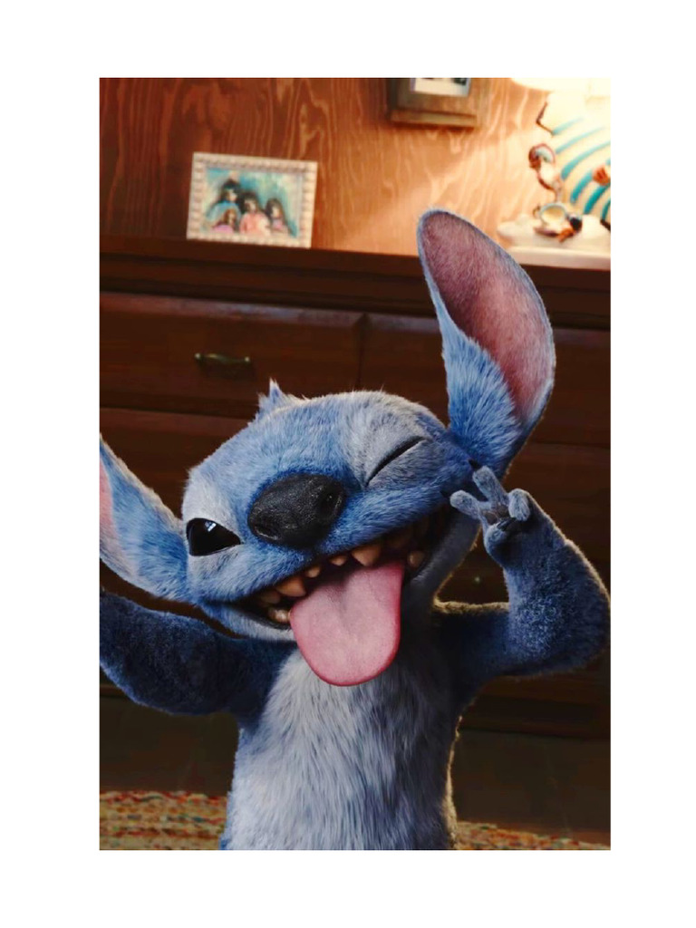 Stich | PDF