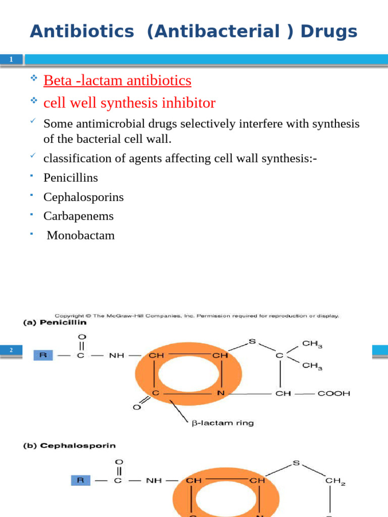 Overview of Beta-Lactam Antibiotics | PDF | Penicillin | Beta Lactamase