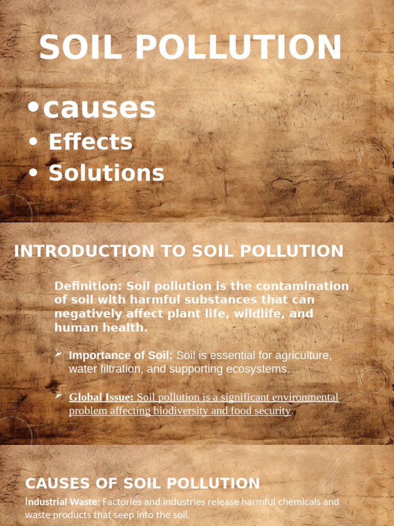 Understanding Soil Pollution: Causes & Solutions | PDF | Water ...