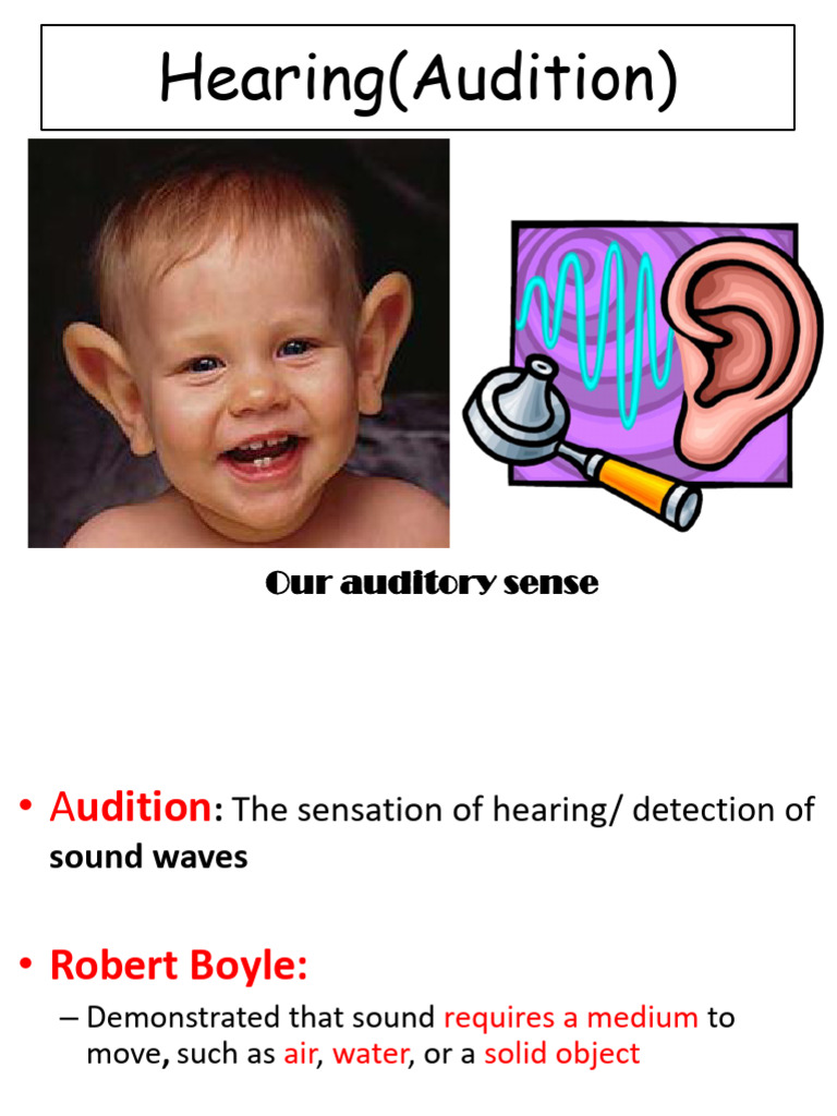 Audition Lesson | PDF | Ear | Auditory System