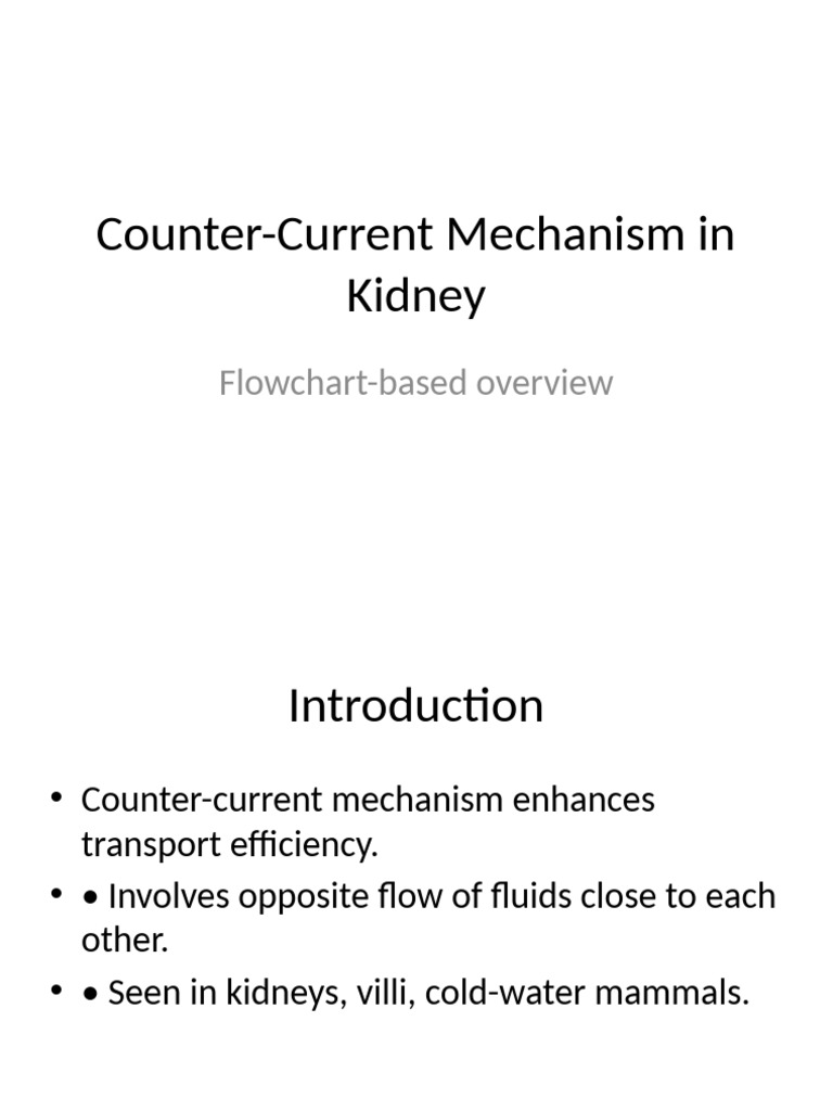 Counter-Current Mechanism Overview | PDF
