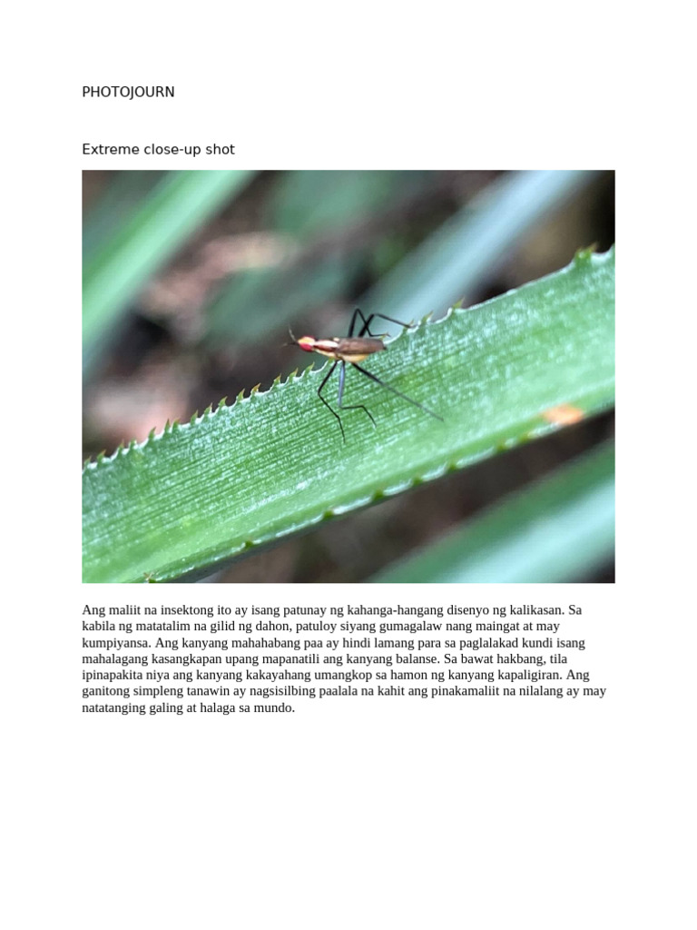 Photo Journ | PDF