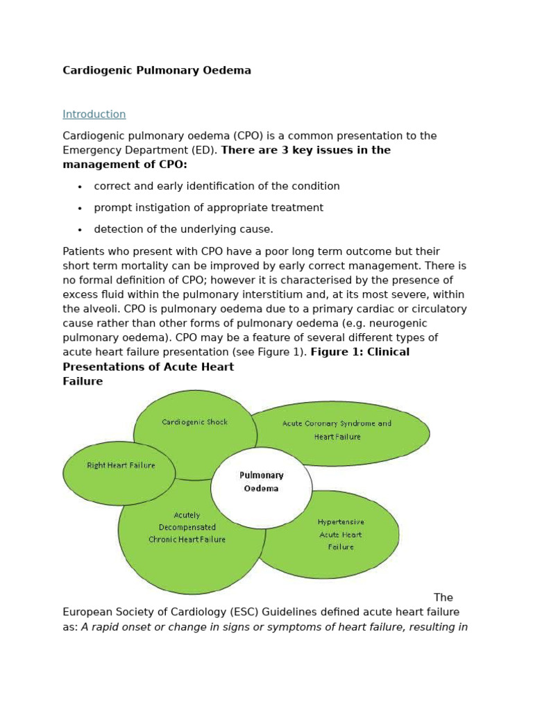 Understanding Cardiogenic Pulmonary Edema | PDF | Heart Failure | Blood ...