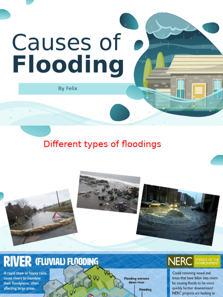 Causes and Impact of Flooding | PDF
