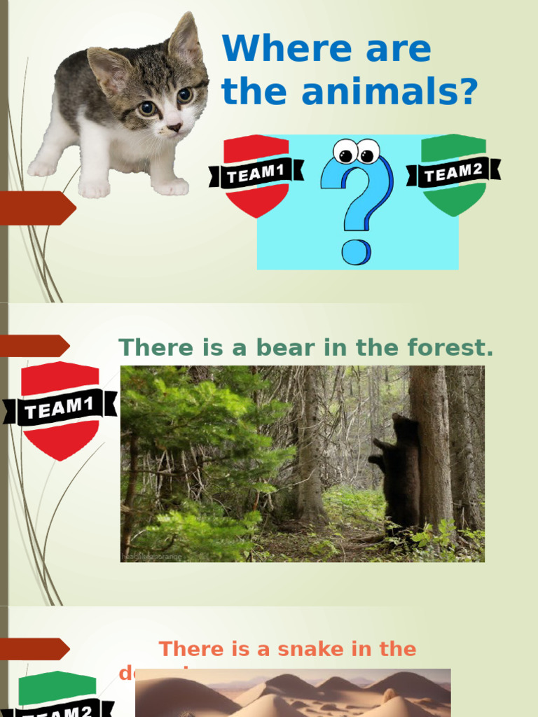 Animal Locations by Habitat | PDF