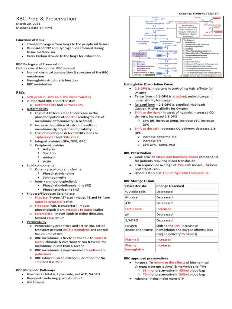 RBC Glycolysis and Preservation Insights | PDF | Red Blood Cell | Cell ...