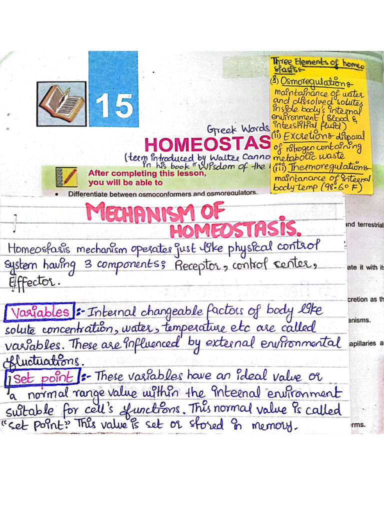 Homeostasis Side Notes | PDF